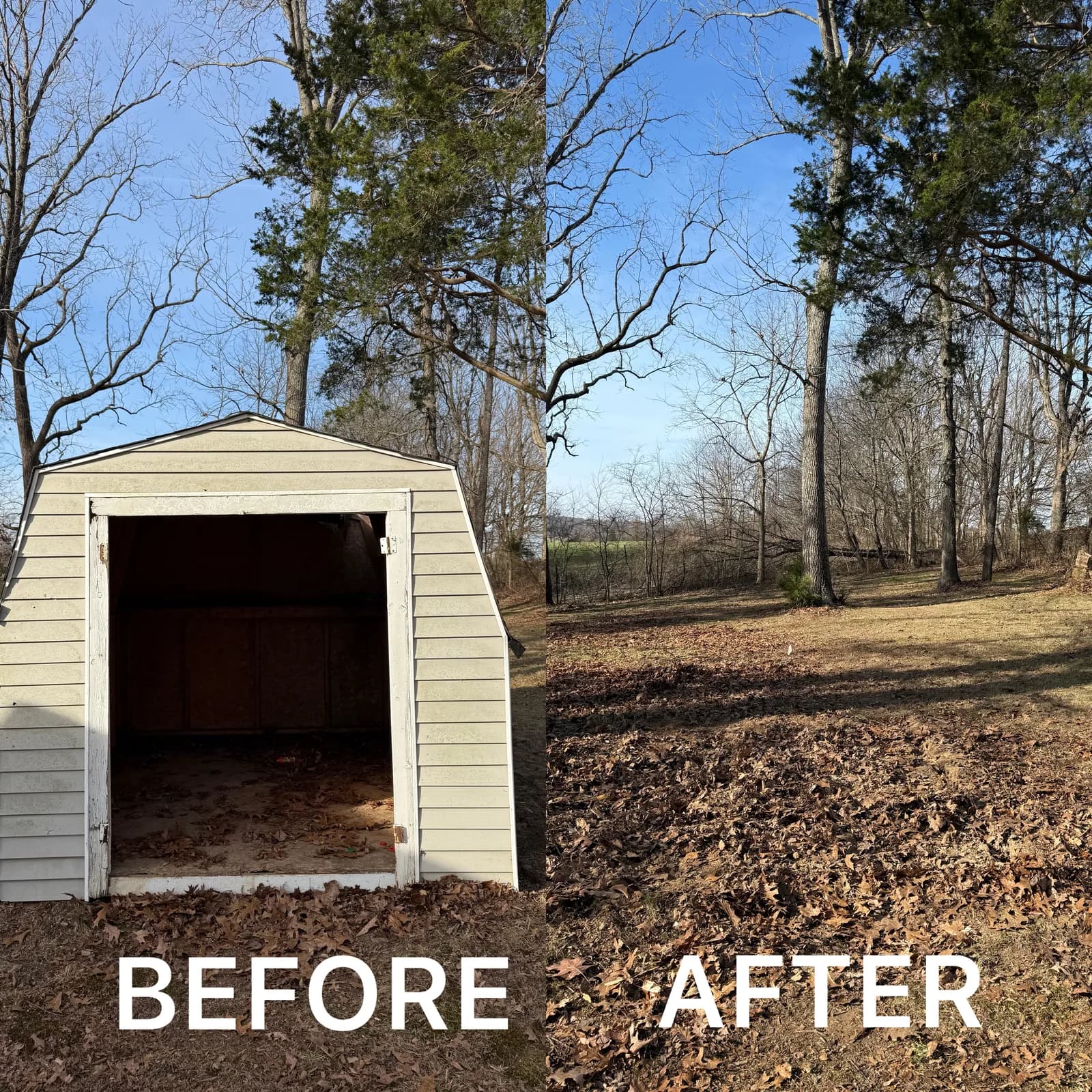 Shed Demolition job in Louisville — 502 Junk Dept.