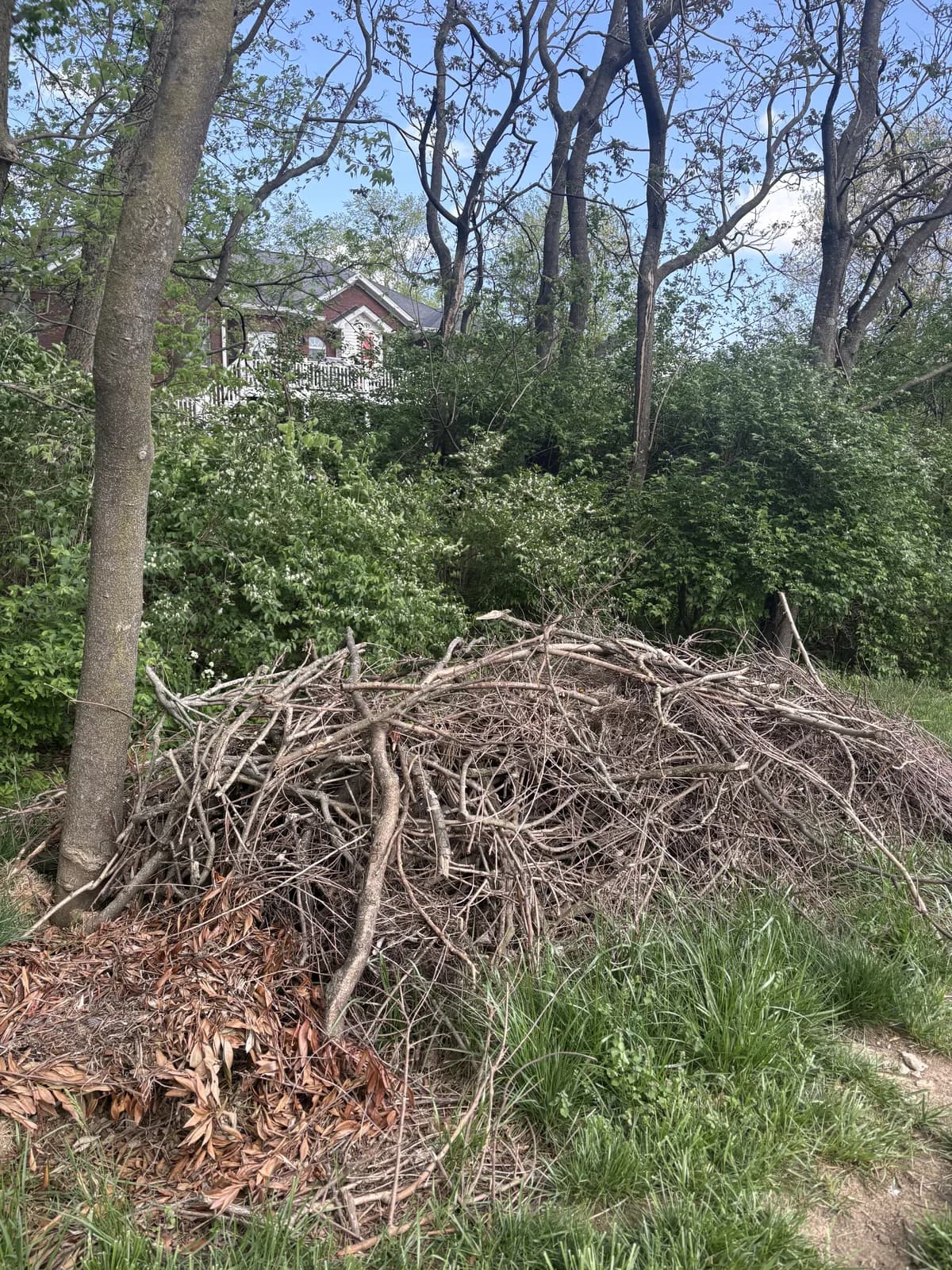 Yard Waste Removal job in Louisville — 502 Junk Dept.