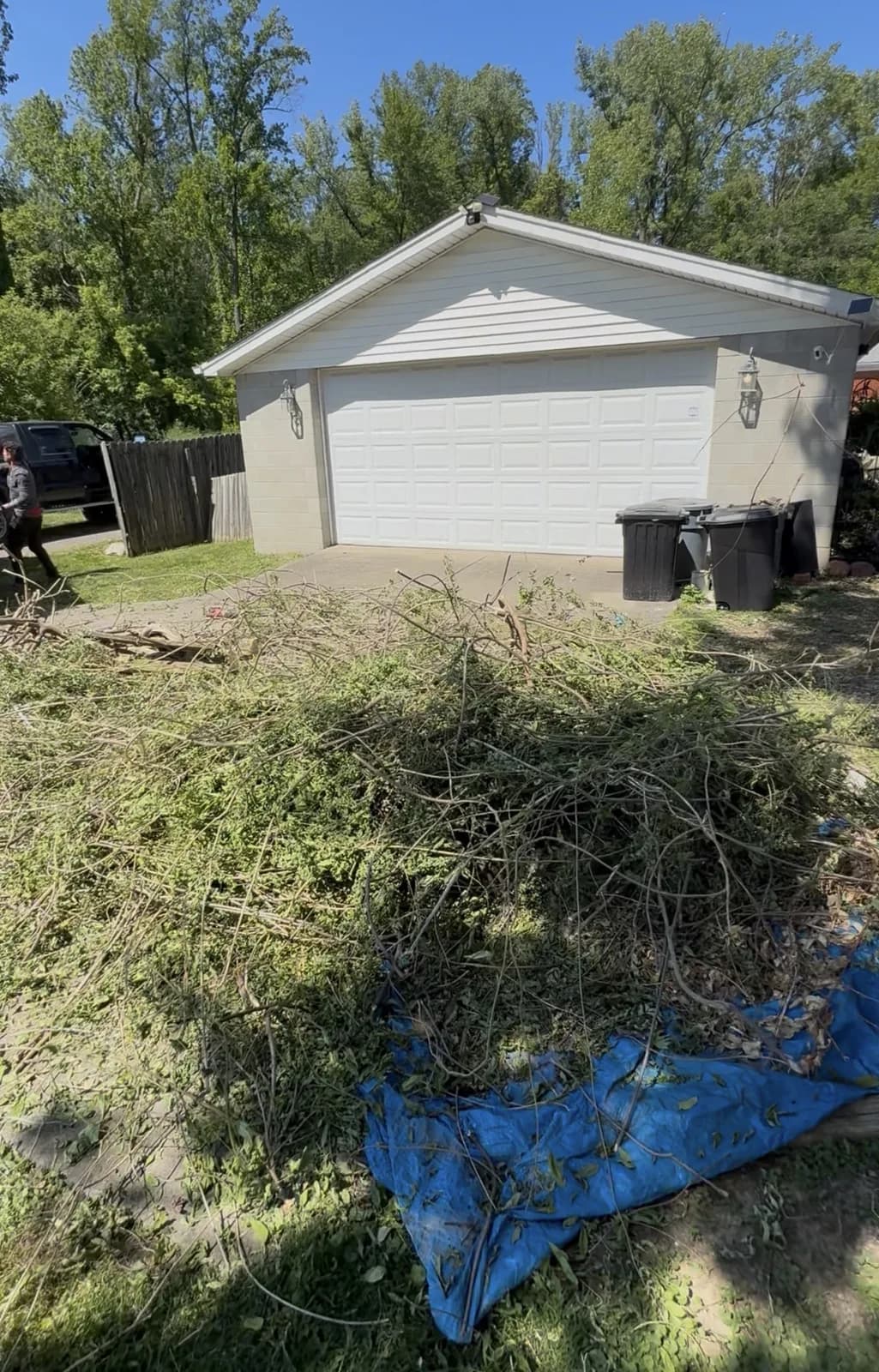 Yard Waste Removal job in Louisville — 502 Junk Dept.